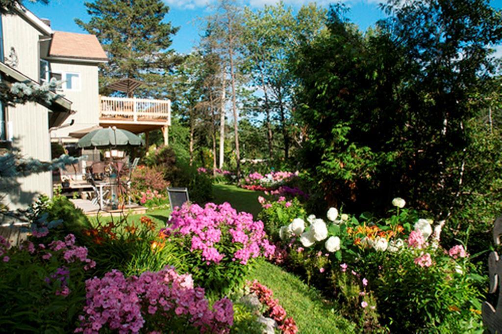 Gite Au Pied Du Courant De Gilbert Desjardins Mont-Laurier Bagian luar foto