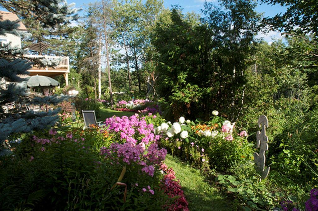 Gite Au Pied Du Courant De Gilbert Desjardins Mont-Laurier Bagian luar foto